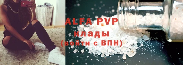 индика Пестово