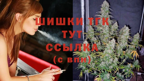 индика Пестово