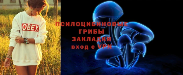мескалин Переславль-Залесский