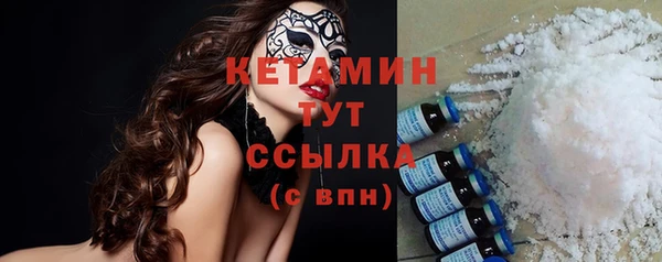 индика Пестово