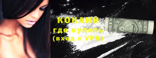 индика Пестово
