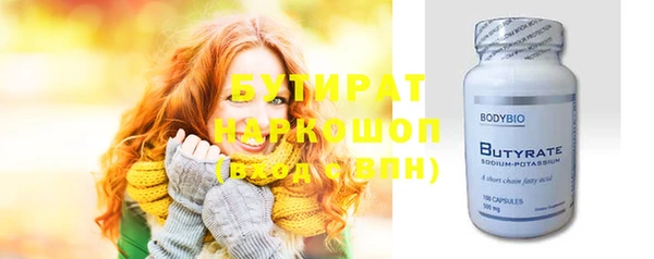 индика Пестово