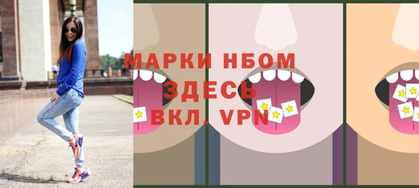 индика Пестово