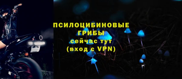 мескалин Переславль-Залесский