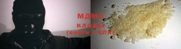 индика Пестово
