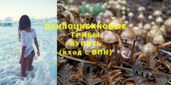 мескалин Лысьва