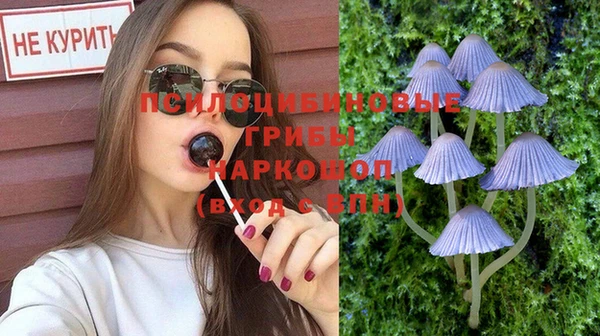 тгк Луховицы