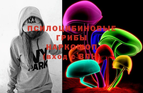 индика Пестово