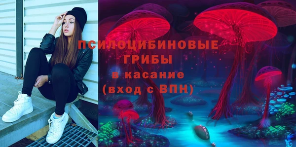 гидра Заводоуковск