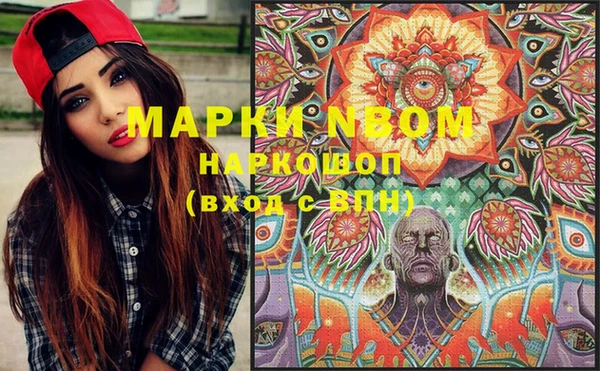индика Пестово