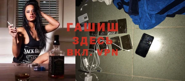 индика Пестово