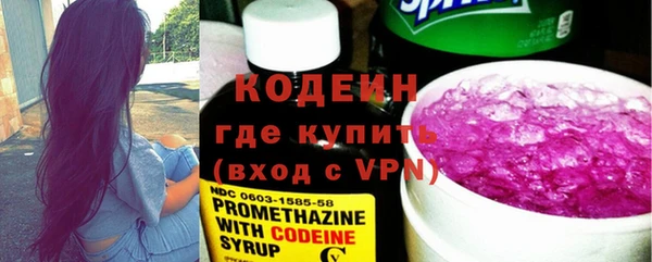 индика Пестово